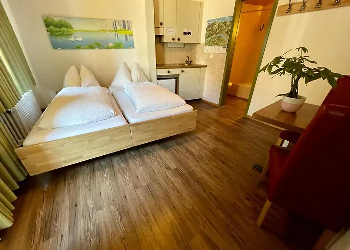 Downtown 9 Pensión 3*